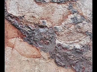 Pískovna Střeleč pod Troskami. Čedič (eluvium) proráží bělošedé sklářské páskovce cenomanského stáří (cca 100 mil. let)