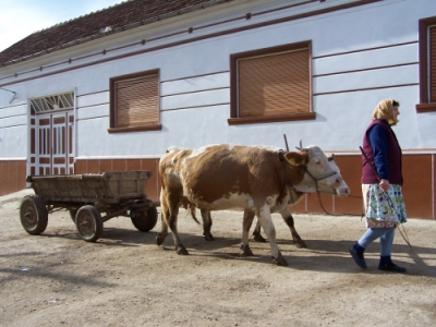 Banáty - čas se zde takřka zastavil v minulém století